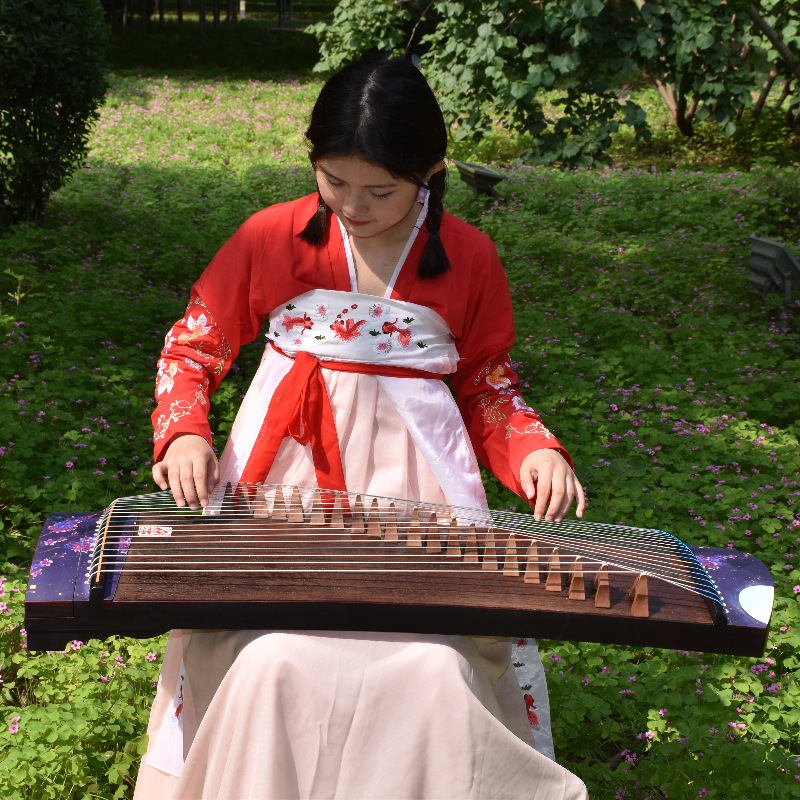 Musical Instrument Guzheng - 100 センチメートル弦付きミニ古筝カラフルな絵画ポータブル小型古筝初心者練習パフォーマンス中国の音楽楽器