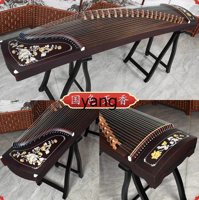 LTテスト入門レベル10 プロの大人向け指導用古筝ピアノ 無 - Musical Instrument Guzheng のレビューと価格