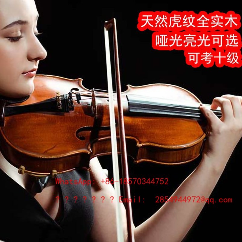 プロ仕様演奏グレードバイオリン楽器オールソリッドウッド手作り - Musical Instrument Net のレビューと価格