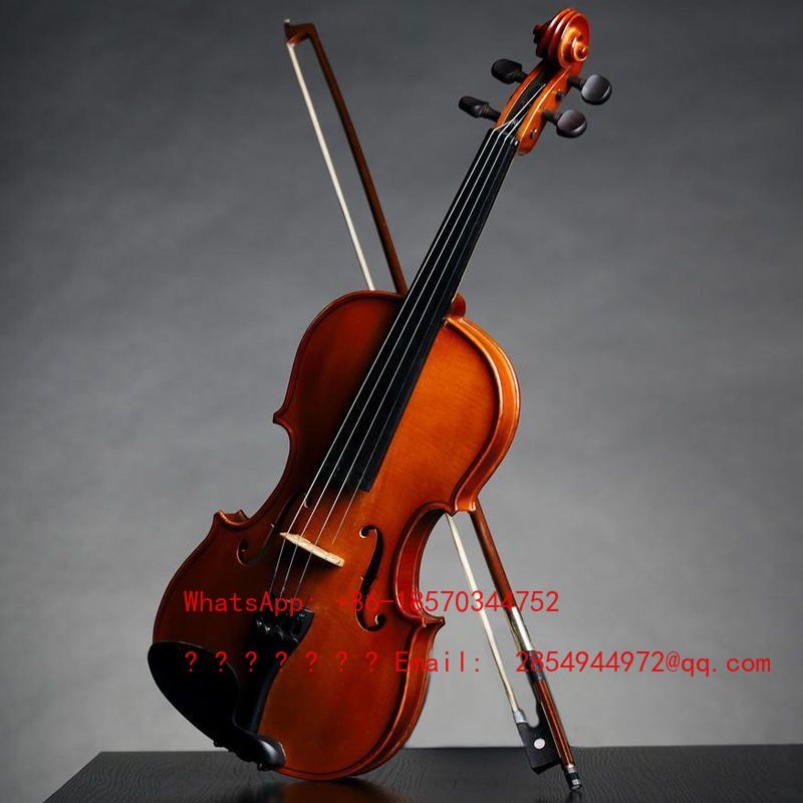 プロ仕様演奏グレードバイオリン楽器オールソリッドウッド手作り - Musical Instrument Net のレビューと価格