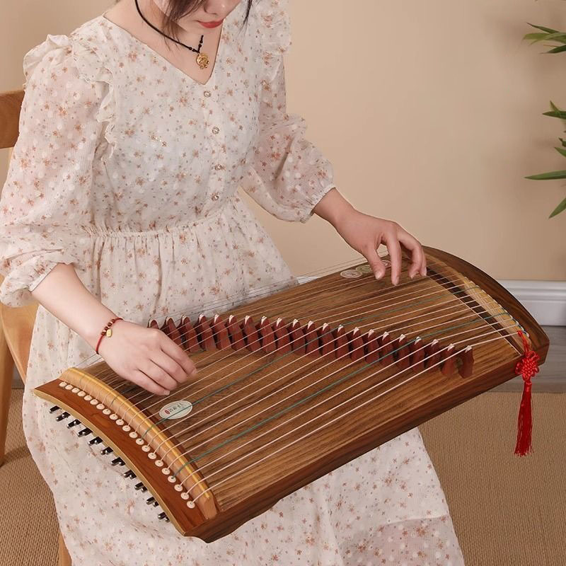 70/100cm 小型古筝 ポータブル旅行用 21弦 鍾 初 - Musical Instrument Guzheng のレビューと価格